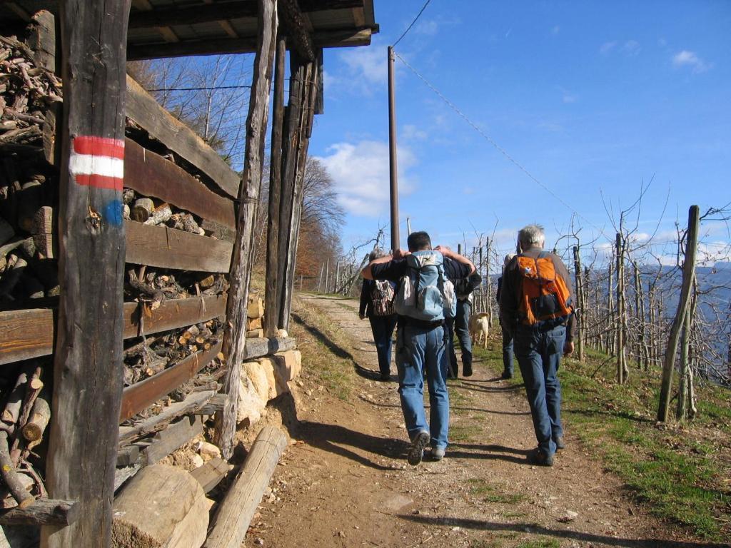 Schloss-Hof Appiano Sulla Strada Del Vino Luaran gambar