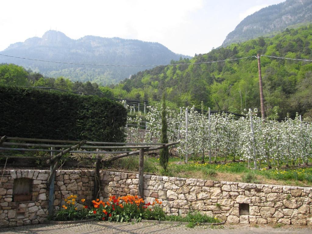 Schloss-Hof Appiano Sulla Strada Del Vino Bilik gambar